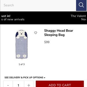 Sleeping bag pottery barn